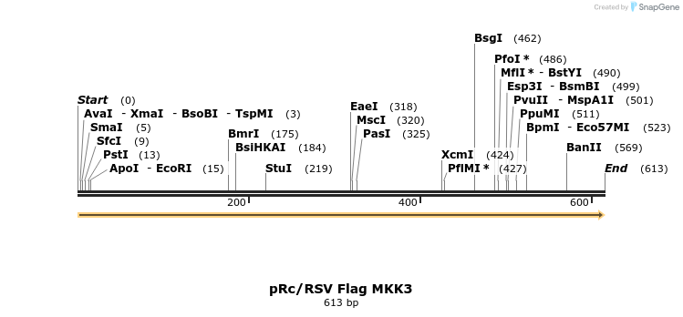 21810_map