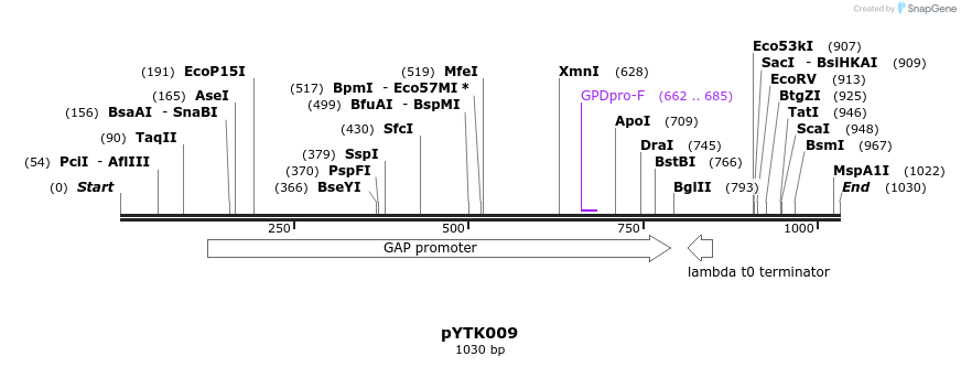 218123_map