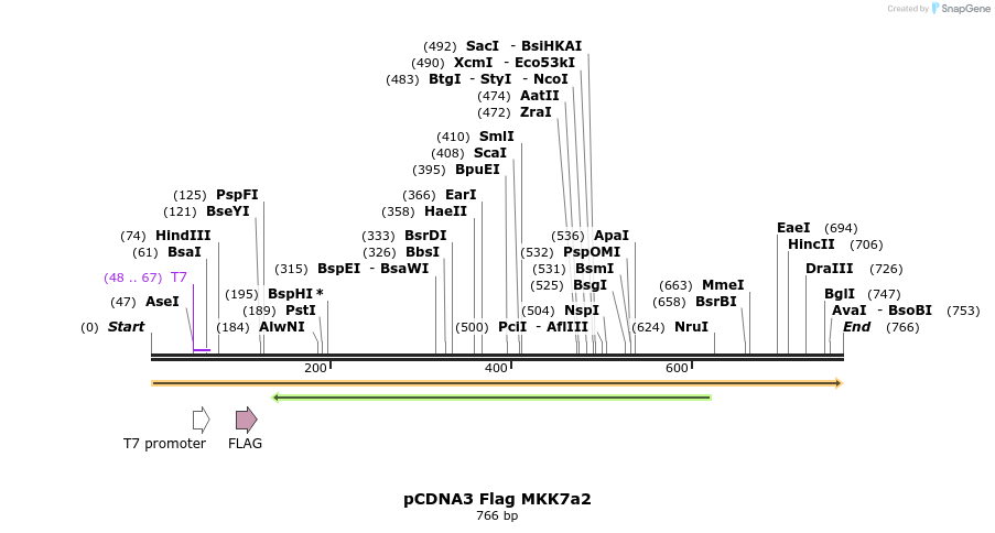 21813_map