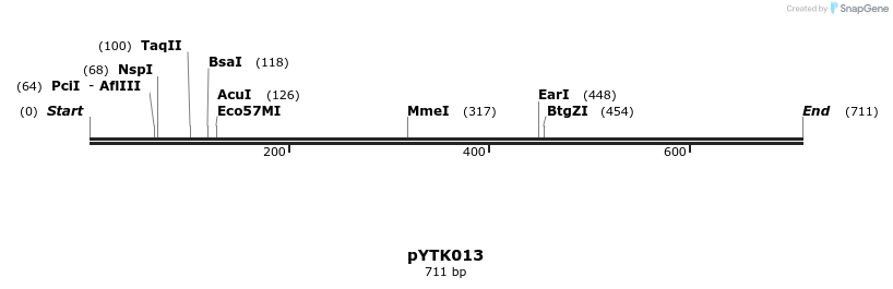 218138_map