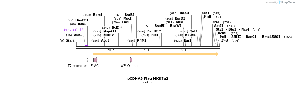 21817_map