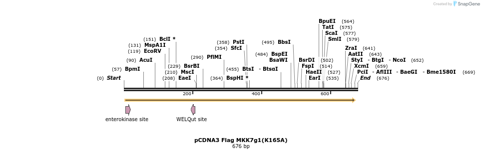 21820_map
