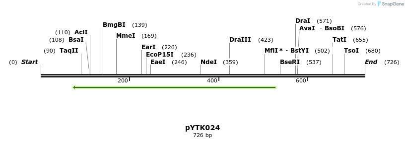 218201_map