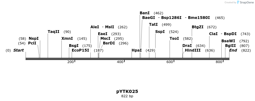 218205_map