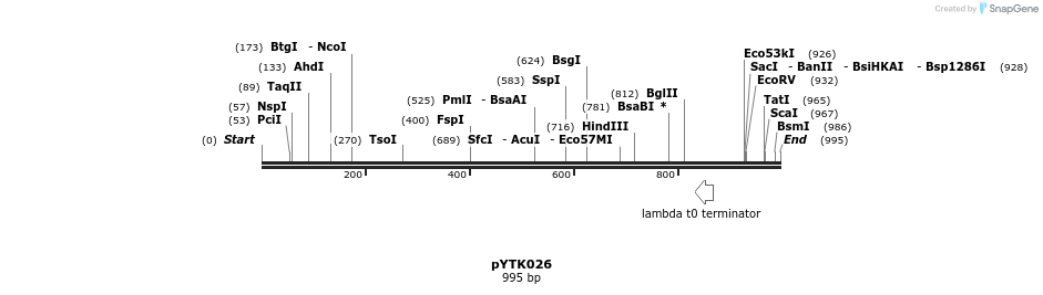 218206_map
