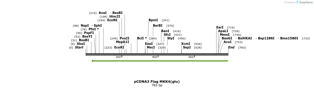 21821_map