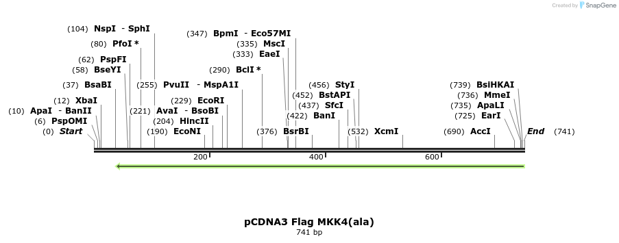 21822_map