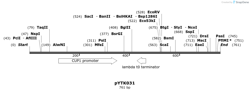 218248_map