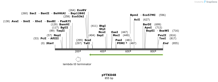 218267_map