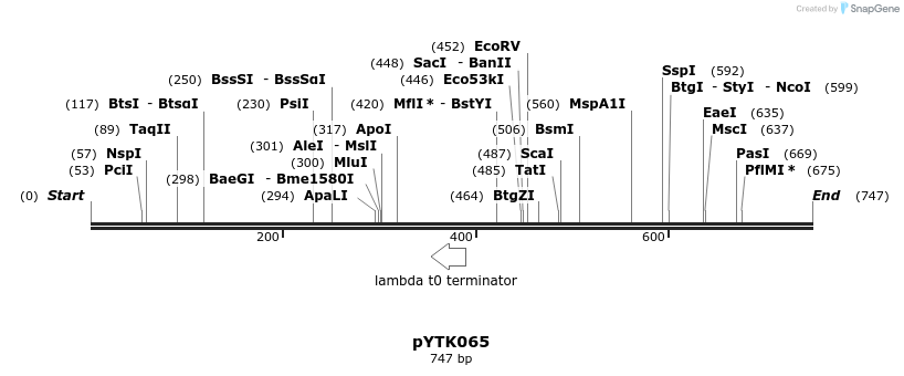 218298_map