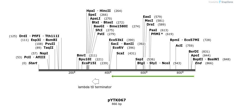 218300_map