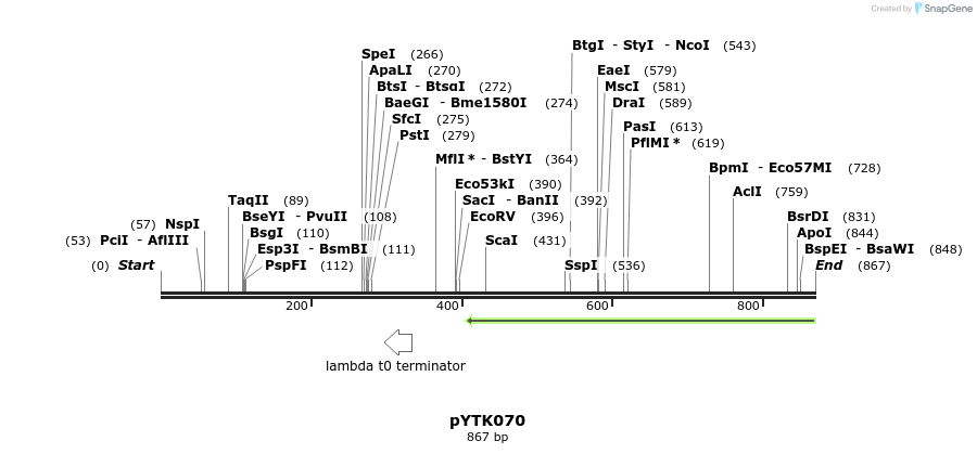 218303_map