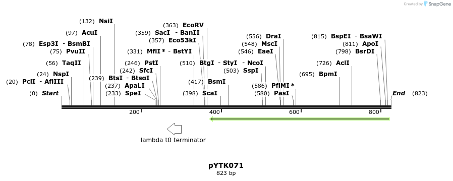 218304_map