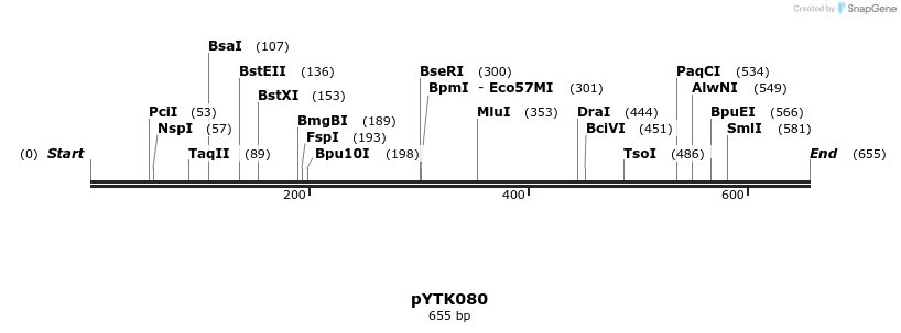218317_map