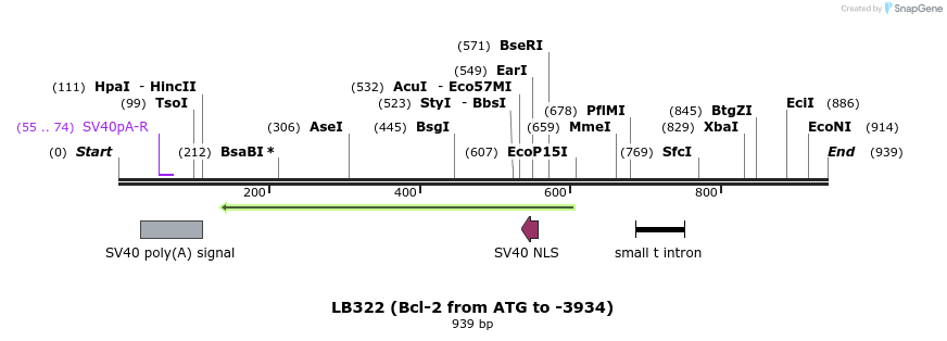 21832_map