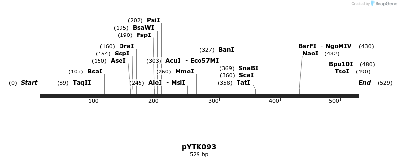 218324_map