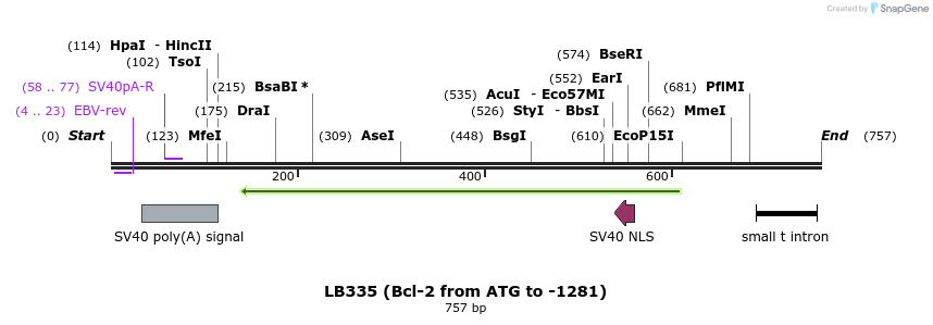 21834_map