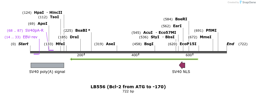 21836_map