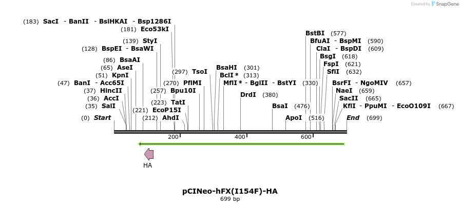 21844_map