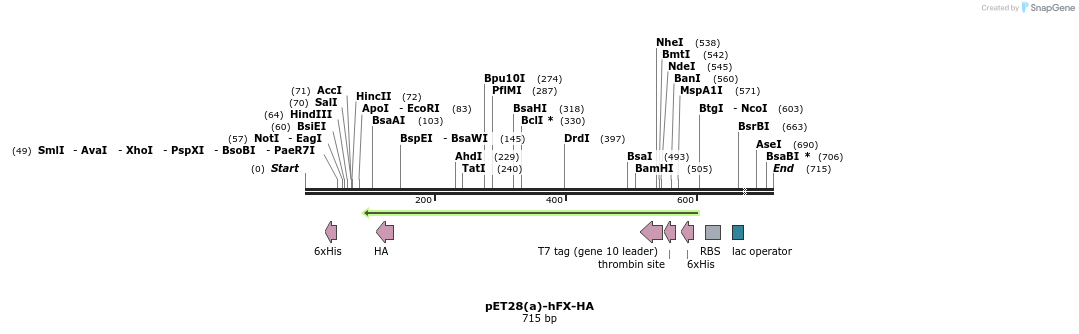 21849_map