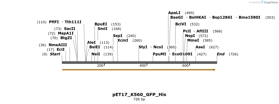 21858_map