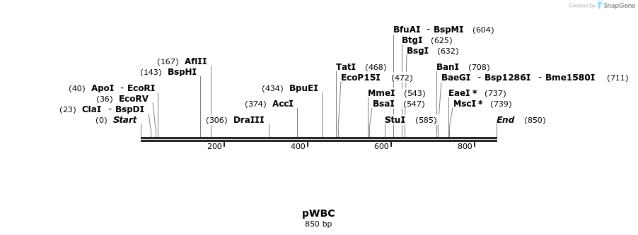 21859_map