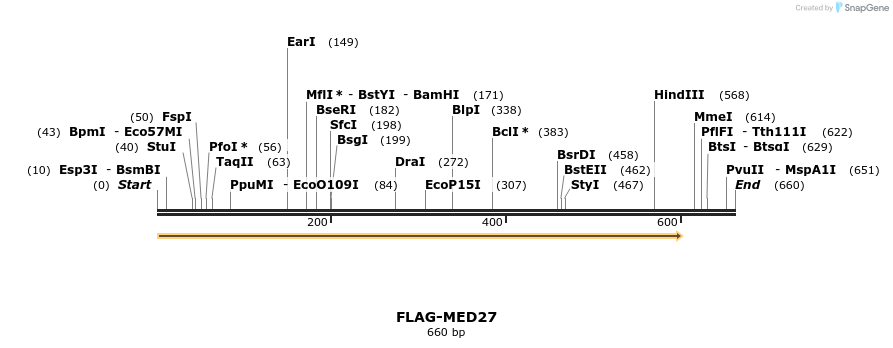 21876_map