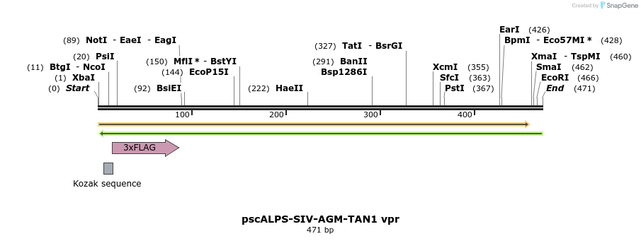 218768_map