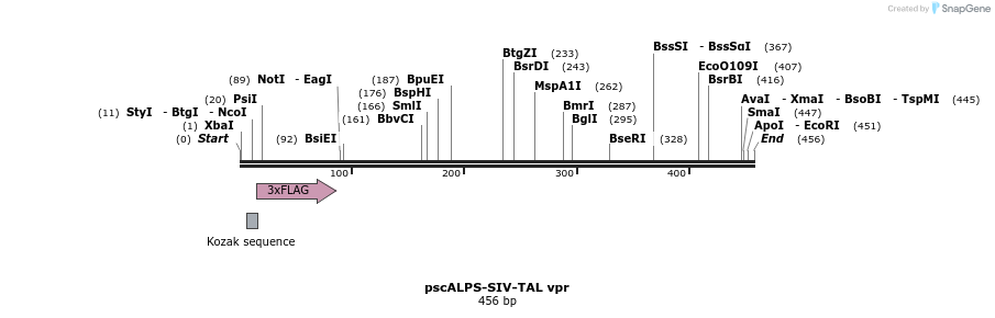 218769_map
