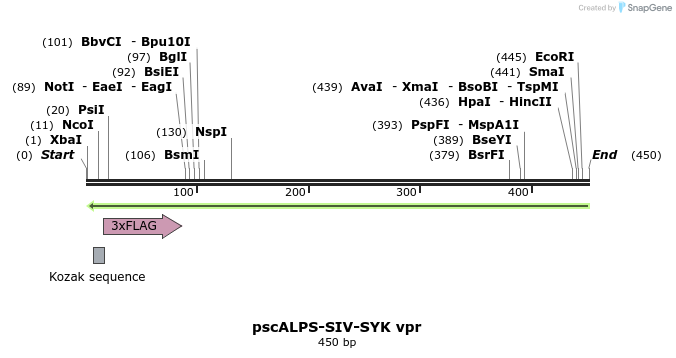 218770_map