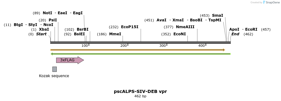 218772_map