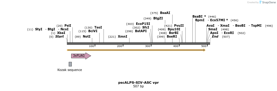 218773_map