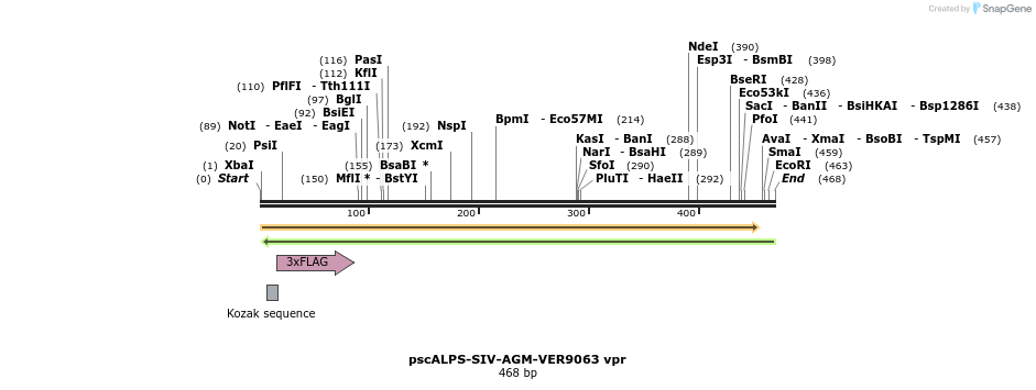 218774_map