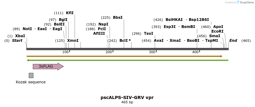 218776_map