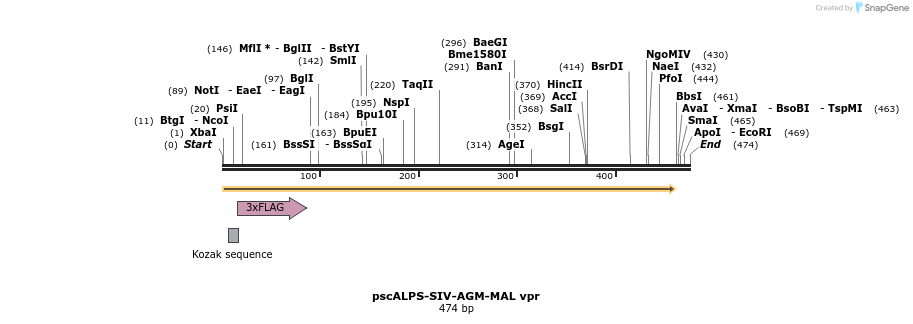 218777_map