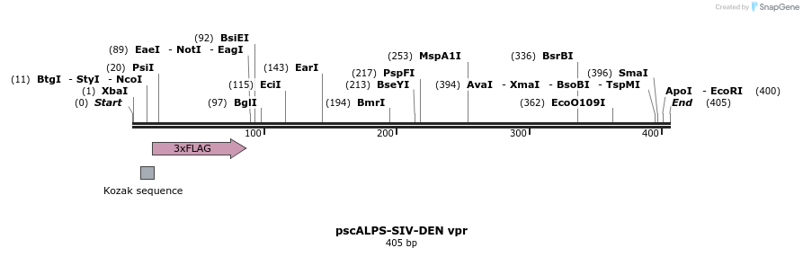 218778_map