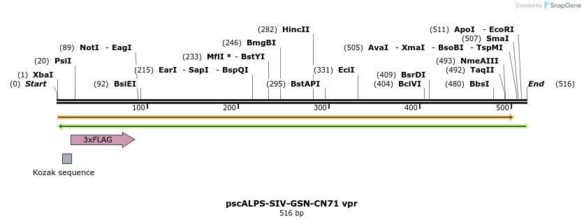 218779_map