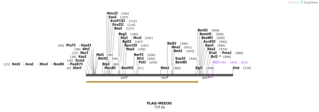 21878_map