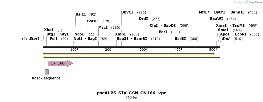218780_map