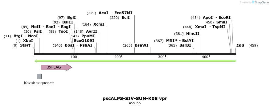 218781_map