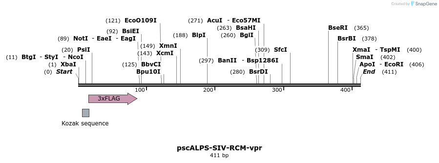 218787_map