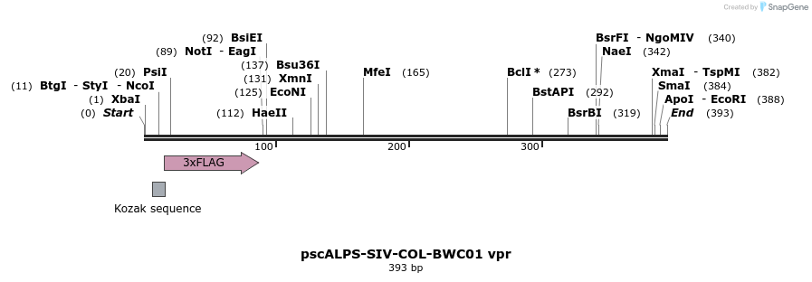 218789_map