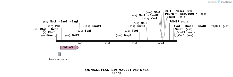 218792_map