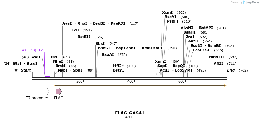 21880_map