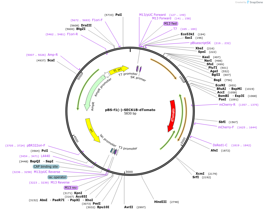 218835_map