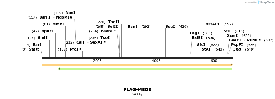 21892_map