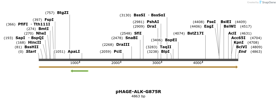 218983_map