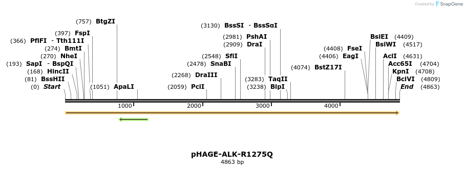 218985_map