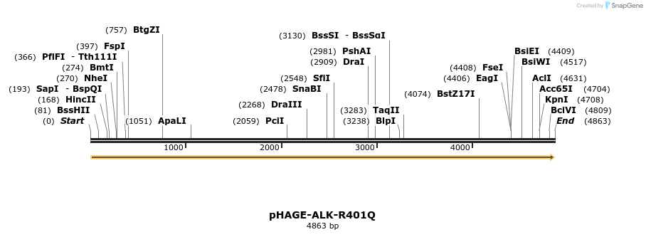 218986_map