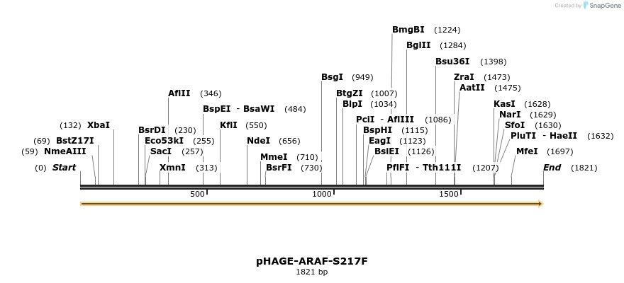 218989_map